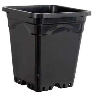 Active Aqua 9"x9" Square Black Pot 10" Tall, 24 per case