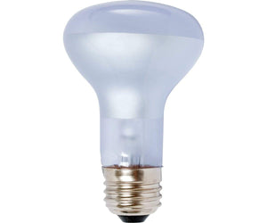 Agrosun Agrosun Dayspot Incandescent Bulb, 60W