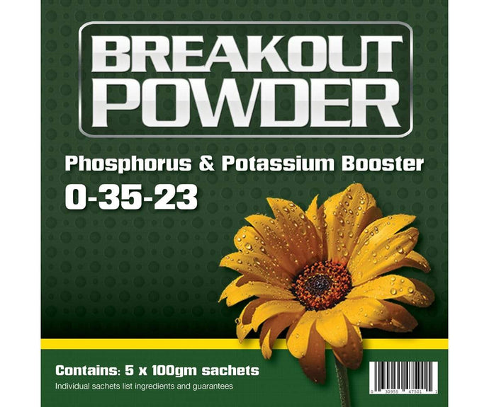 Aptus Aptus Breakout Powder, (5-Pack)