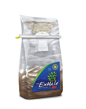 Load image into Gallery viewer, ExHale CO2 Climate Control ExHale 365-Self Activated CO2 Bag