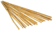 Load image into Gallery viewer, GROW!T Garden Care GROW!T Natural Bamboo Garden Stakes