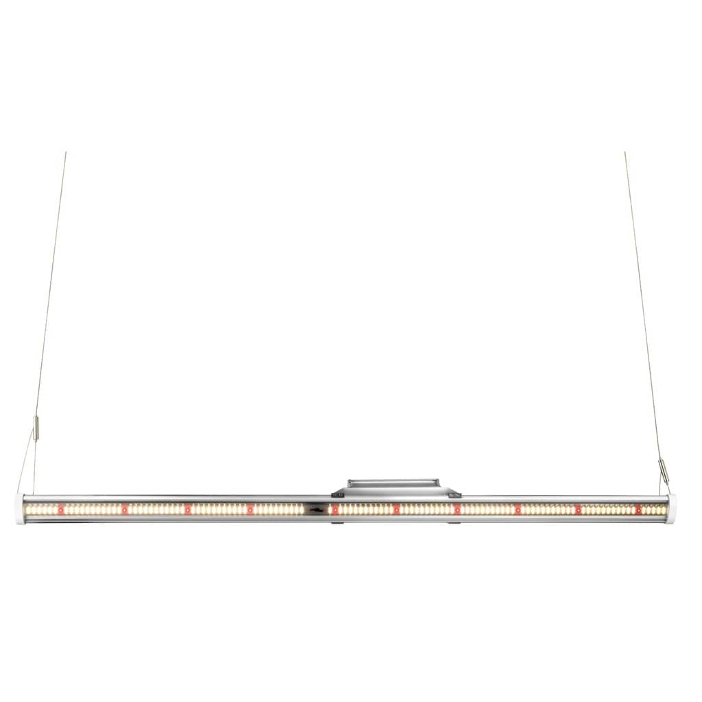 Horticulture Lighting Group Grow Lights Horticulture Lighting Group HLG Saber 100 Bar Light