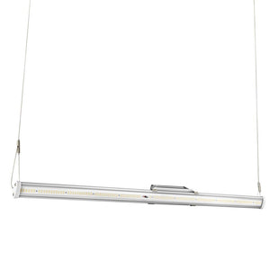 Horticulture Lighting Group Grow Lights Horticulture Lighting Group HLG Saber 100 Bar Light