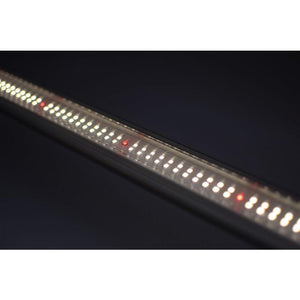 Horticulture Lighting Group Grow Lights Horticulture Lighting Group HLG Saber 100 Bar Light (DIY)